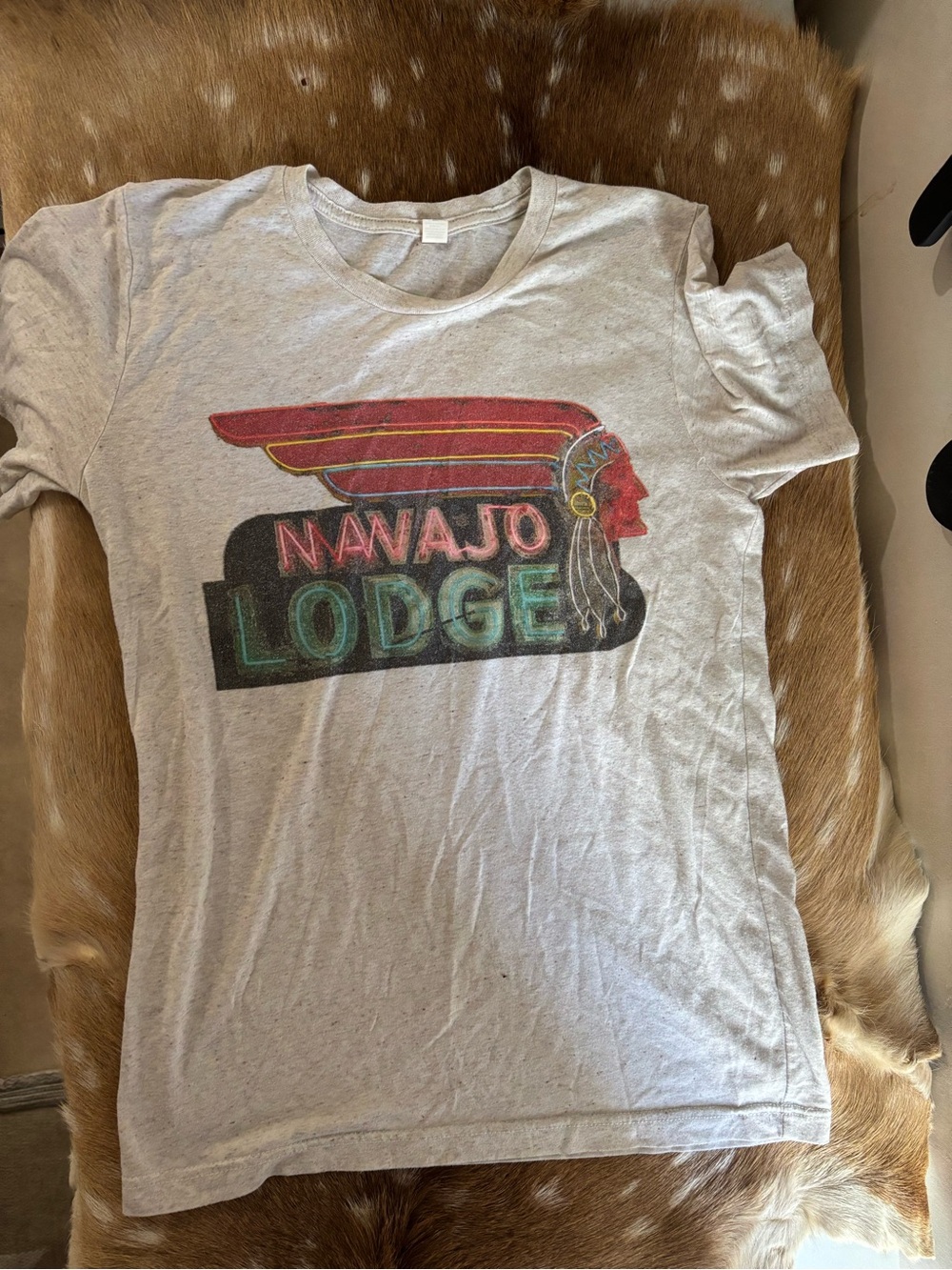 Bella Canvas Light Gray Navajo Lodge Graphic Tee with Red and Green Print